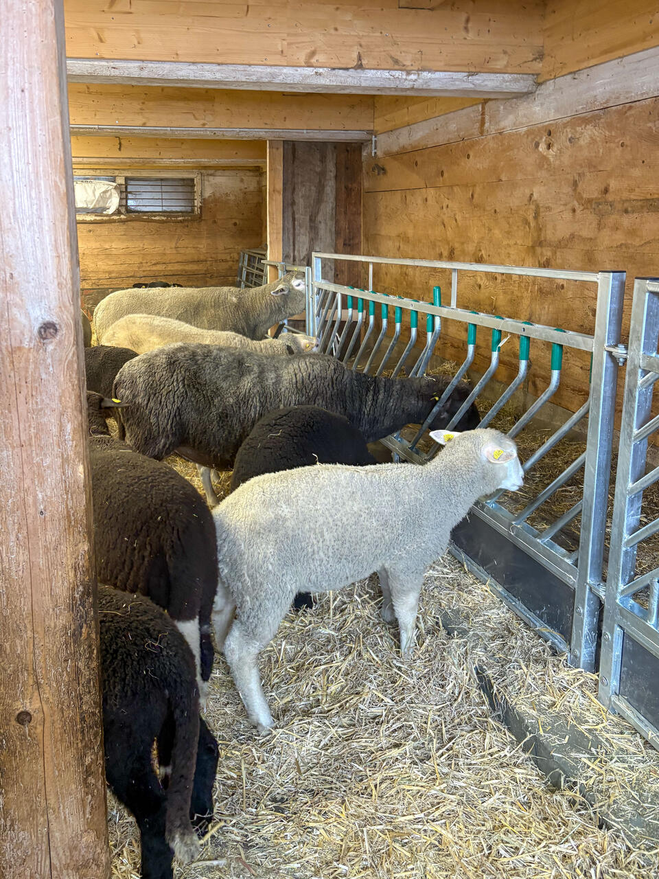 38421 Wohngemeinschaft Stocken 4-2.jpg