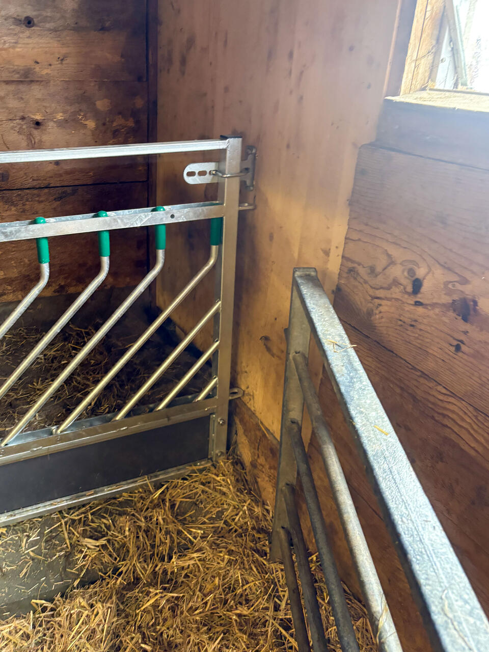 38421 Wohngemeinschaft Stocken 5-2.jpg