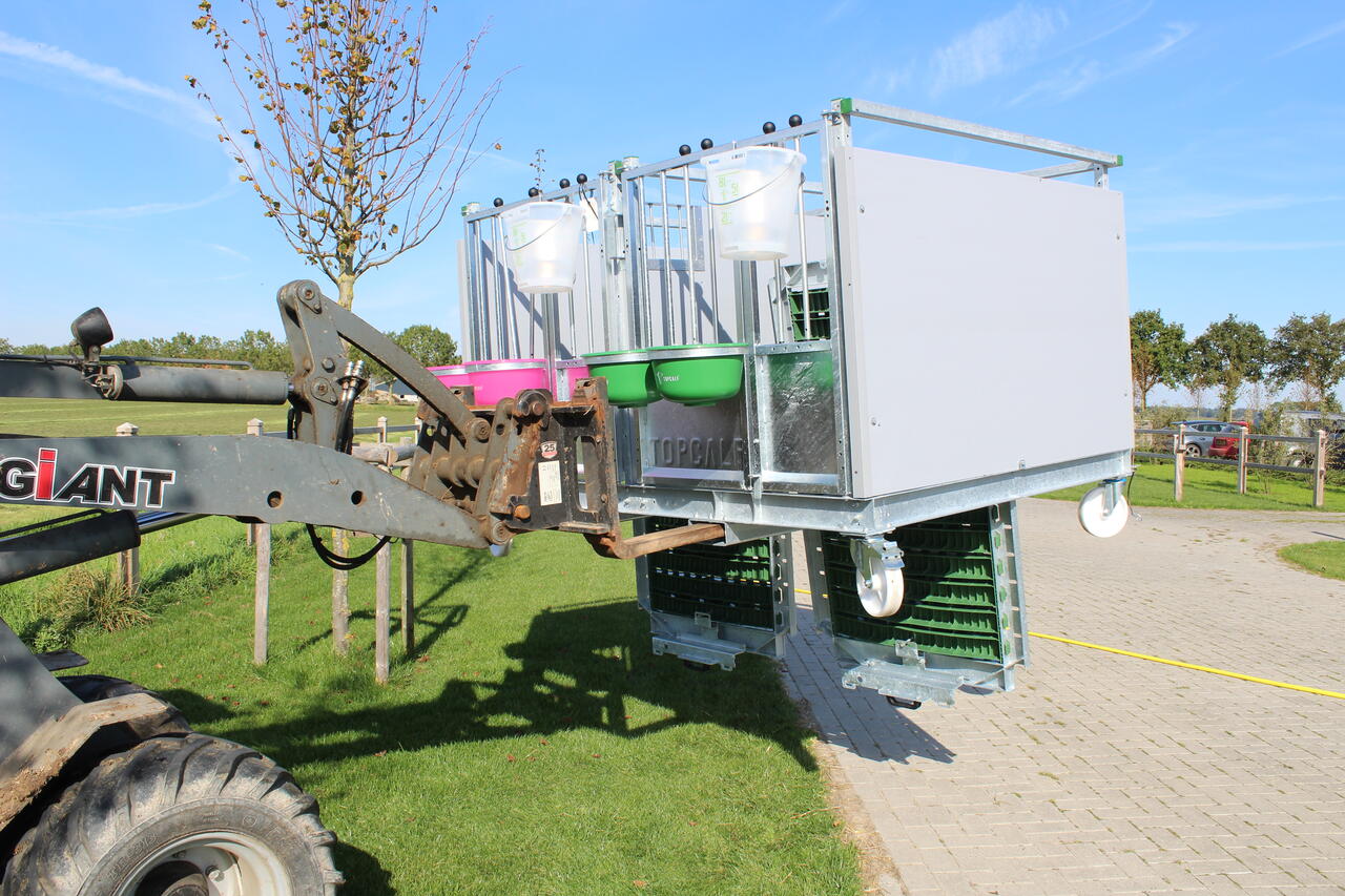 topcalf-headerbild-easyclean