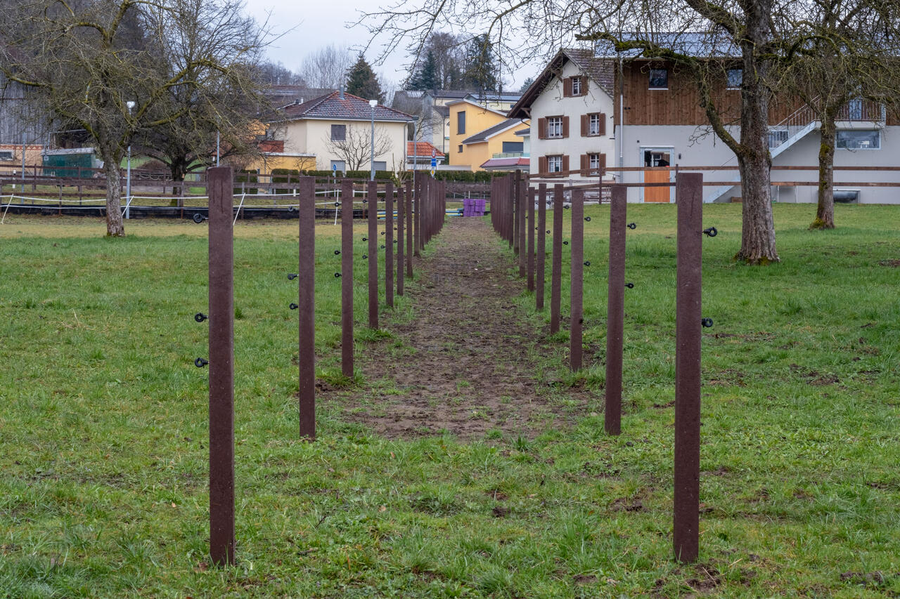 78900 Ursina Fäh und Cornell Zaun 8.jpg