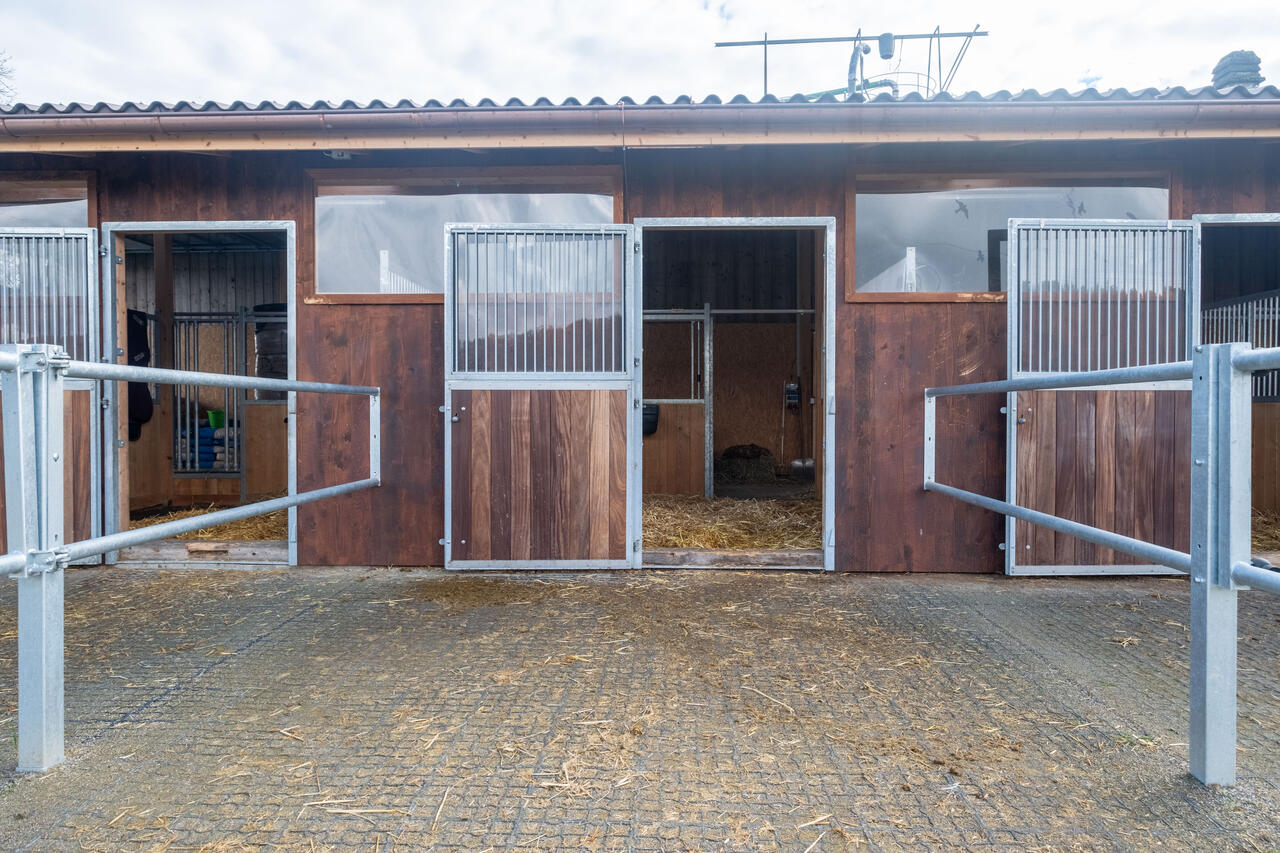 75400_Nina Blaser_Paddock 2.jpg