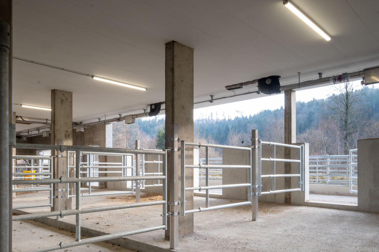 82205_Max_Rüegg 4-lagige Abtrennung 3.jpg