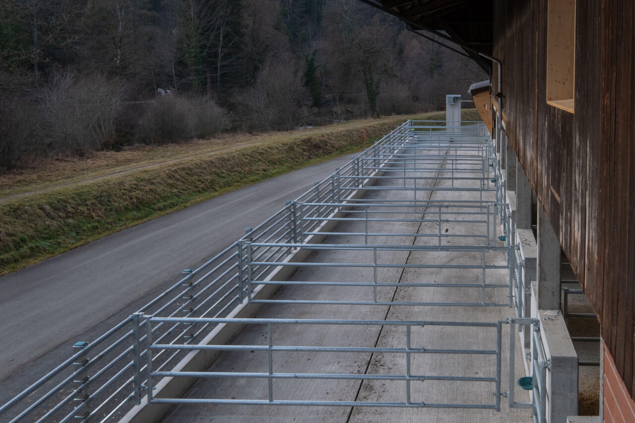 82205_Max_Rüegg Laufhof 10.jpg
