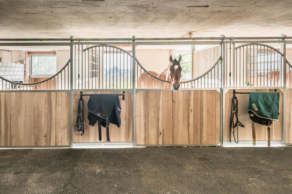 Pferdeboxen Typ Appenzell