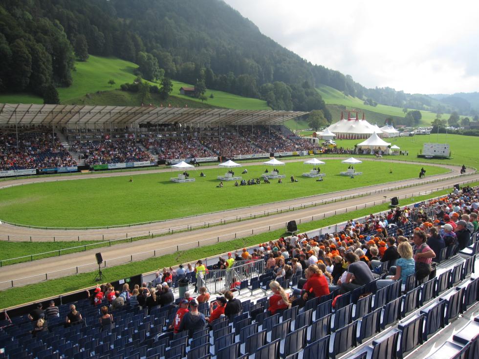 Islandpferde WM in Brunnardern