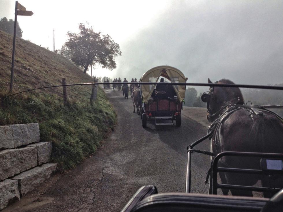 Auf dem Weg nach Saignelégier