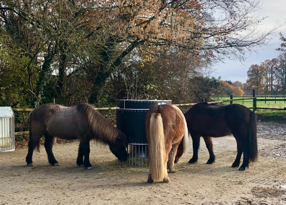 feedslow-raufe-mit-ponies