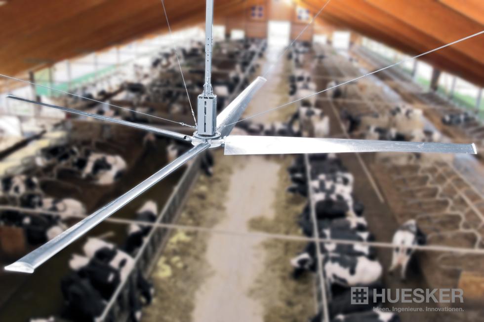 DV 5000#2#Deckenventilator VENTITEC inkl. 4 Rotorblätter im St