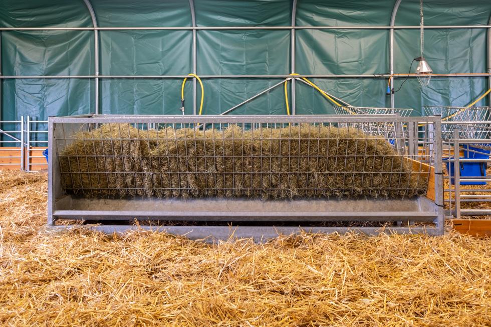 Tier Raufen Schafstall in Windisch | B+M Agrotech