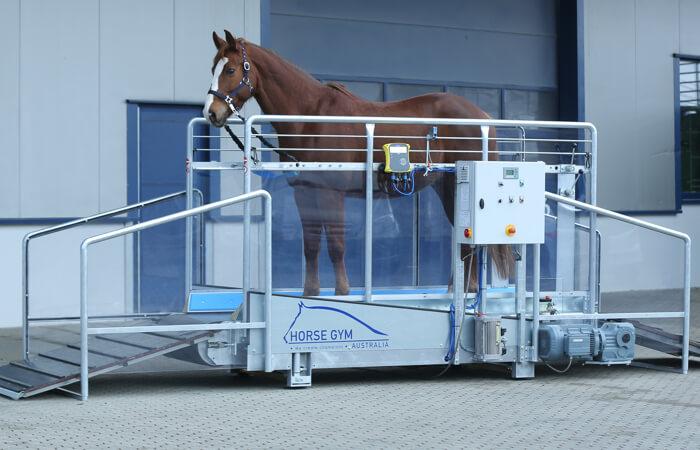 pferdelaufband-s3-horsegym-bei-bm