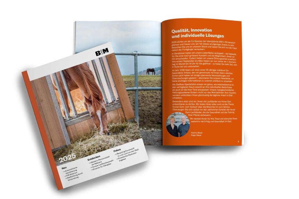 Pferd 2025 Mock Up