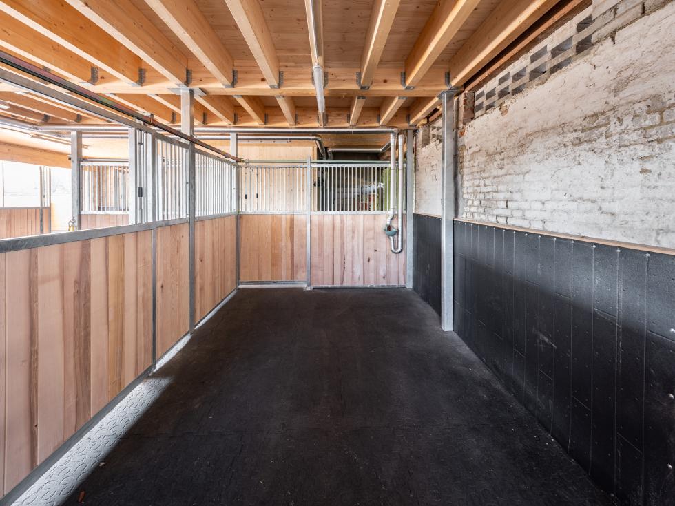 Eine Schlagschutzmatte aus Gummi mit einer Holzbohlenoptik, auf einer Leiste an einer Holzwand montiert, auf der rechten Seite eine Boxenabtrennung einer Pferdebox mit montierter Tränke