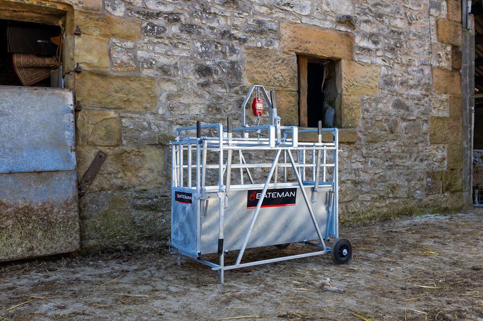 Eine Lämmerwaage mit zwei schwarzen Rädern fest, Blech in der unteren Hälfte, Türchen hinten und Waagezeiger obendrauf, von hinten abgebildet, auf einer Weide