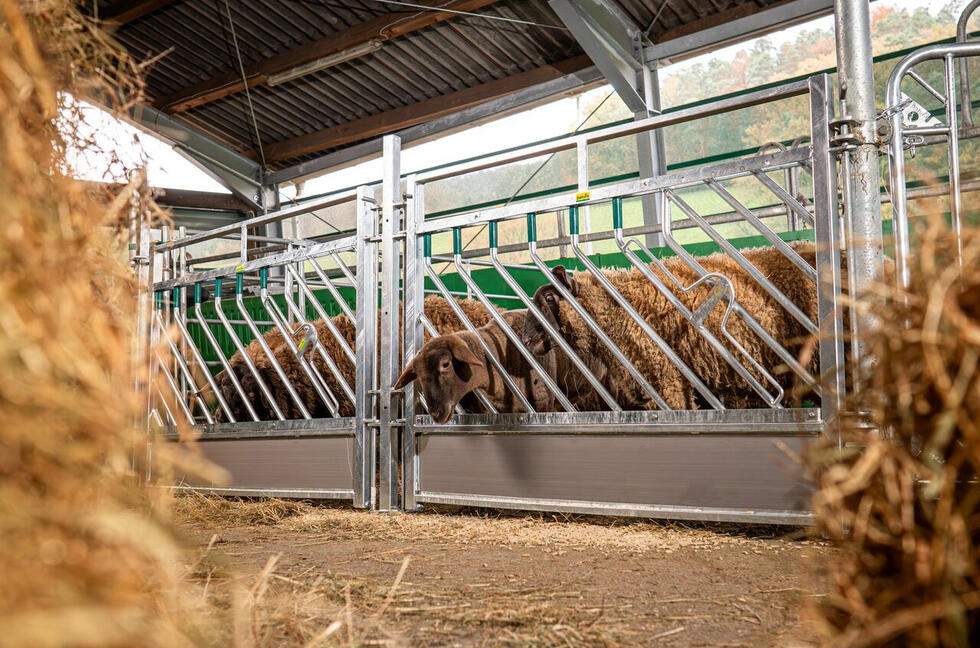 Panel mit 18 senkrechten Streben und zwei dreieckigen Kettenhalter auf der linken Seite, ein kleiner Bogen am unteren Ende auf beiden Seiten, schematische Skizze