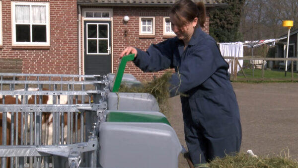 Ein montierter Combi-Feeder aus grauem Kunststoff mit einem roten Boden aus Kunststoff, sichtbarem Kraftfutterbehälter leer und sichtbarer Heuraufe gefüllt mit Heu, montiert an Gitter, Backsteinmauer im Hintergrund, Ansicht von hinten