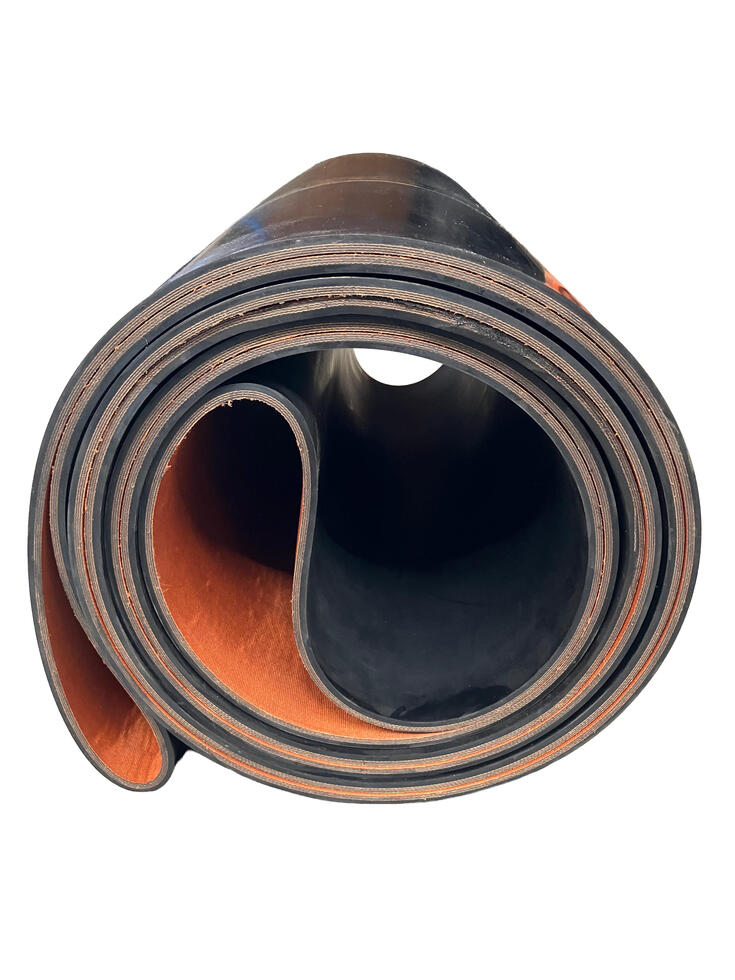 Ein Pferdesolarium, zweifarbig, grüner und grauer Kunststoff, leicht gewölbt und gebogen, mit roten und andersfarbigen Lampen, sowie Ventilatoren auf der Unterseite, aufgehängt in Stallgang, roter Boden, rechts und links Pferdeboxen, auf jeder Seite schaut jeweils ein schwarzes Pferd in den Gang hinaus