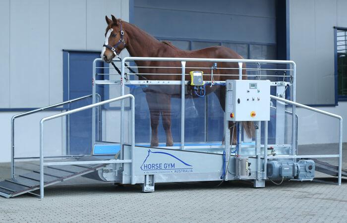 Ein Pferdesolarium, zweifarbig, grüner und grauer Kunststoff, leicht gewölbt und gebogen, mit roten und andersfarbigen Lampen, sowie Ventilatoren auf der Unterseite, aufgehängt in Stallgang, roter Boden, rechts und links Pferdeboxen, auf jeder Seite schaut jeweils ein schwarzes Pferd in den Gang hinaus