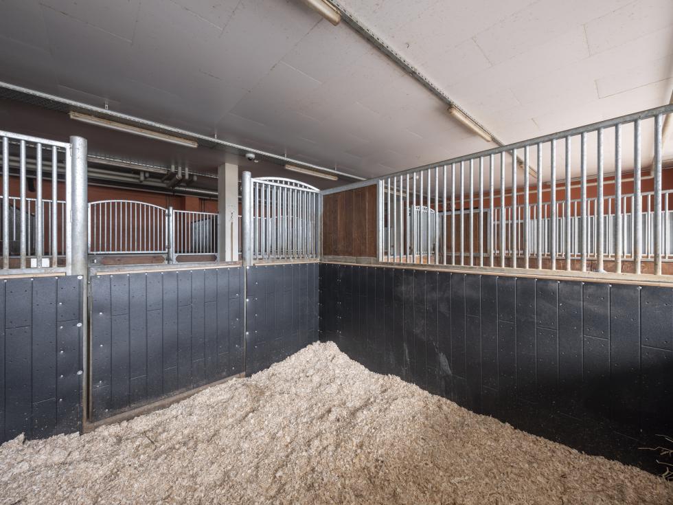 Eine Schlagschutzmatte aus Gummi mit einer Holzbohlenoptik, auf einer Leiste an einer Holzwand montiert, auf der rechten Seite eine Boxenabtrennung einer Pferdebox mit montierter Tränke