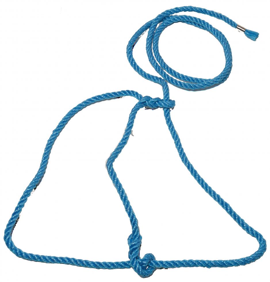 Blaues Kanadahalfter aus blauem Seil mit zentral gelegenen zwei Knoten, flach ausgelegt, Draufsicht