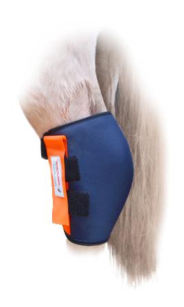 Blaue Kühlgamasche mit orangem Akzent am Sprunggelenk eines weissen Pferdes