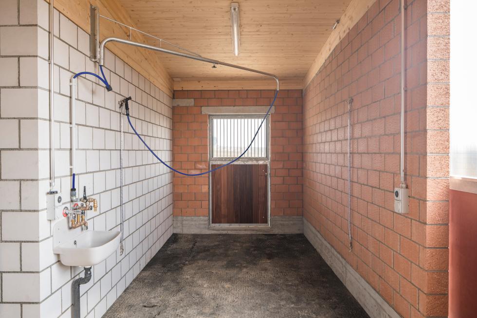 Eine Pferdedusche in separiertem Raum, leicht abgeschwenkt, Schlauch an der Wand aufgehängt, im Hintergrund ist eine Holztüre mit eingebautem Fenster