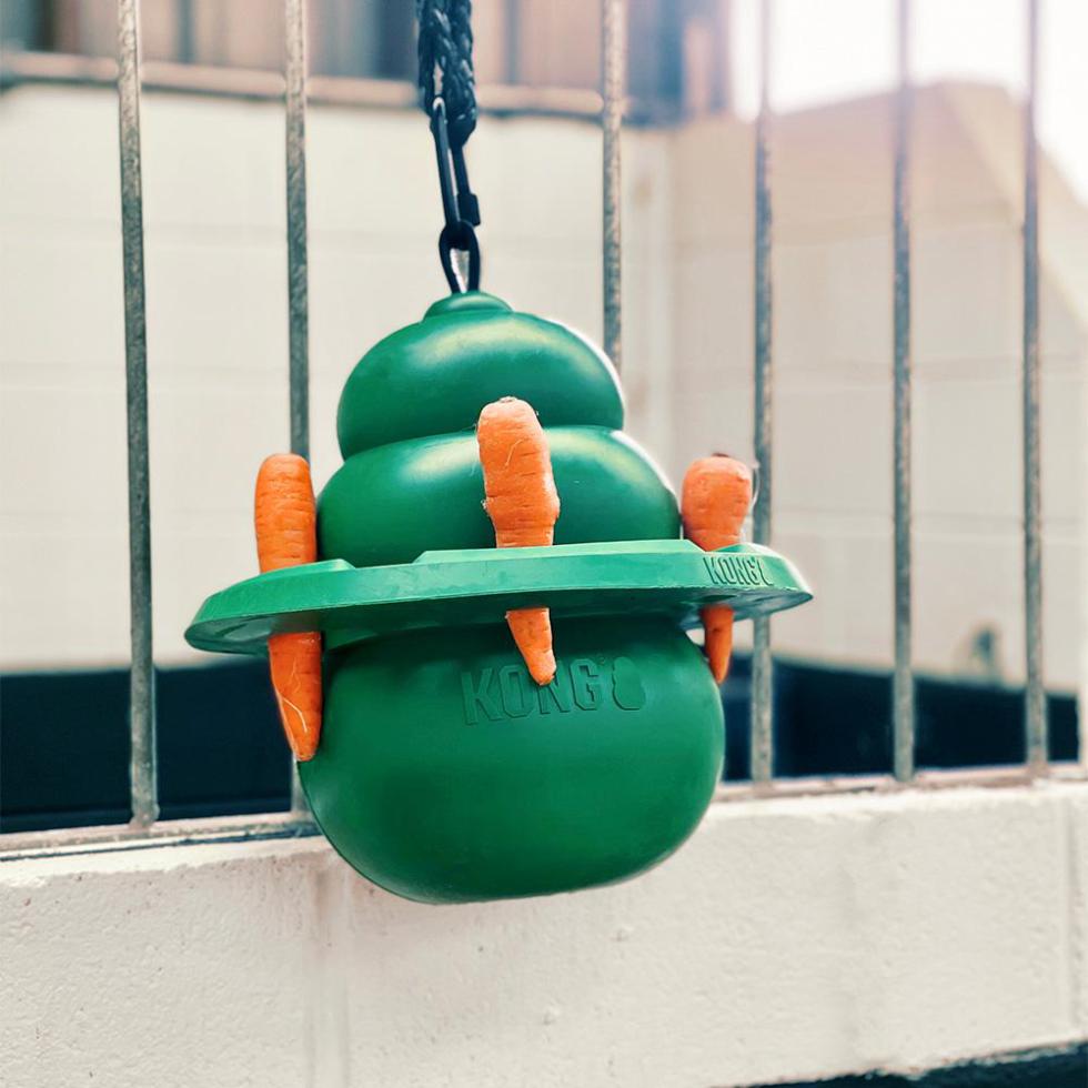 KONG® Equine Swing B+M Agrotech