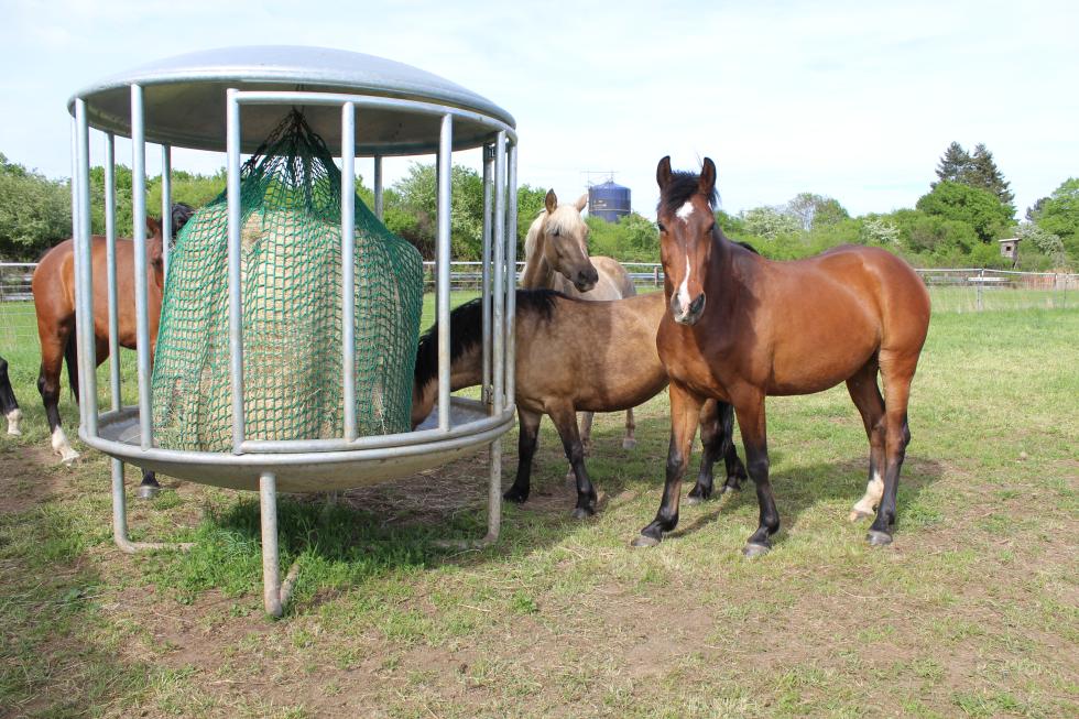 Eine Rundraufein zylindrischer Form mit einem gewölbten, verzinkten Deckel und Boden, dazwischen senkrechte Verstrebungen, resultierend in fünfzehn Fressplätzen, unterliegend zwei gekreuzte Stangen als Gestell, geöffnet und auf einer Weide vor einem Hof stehend