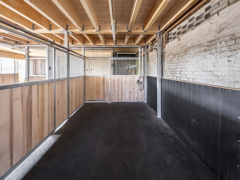 Eine Schlagschutzmatte aus Gummi mit einer Holzbohlenoptik, auf einer Leiste an einer Holzwand montiert, auf der rechten Seite eine Boxenabtrennung einer Pferdebox mit montierter Tränke