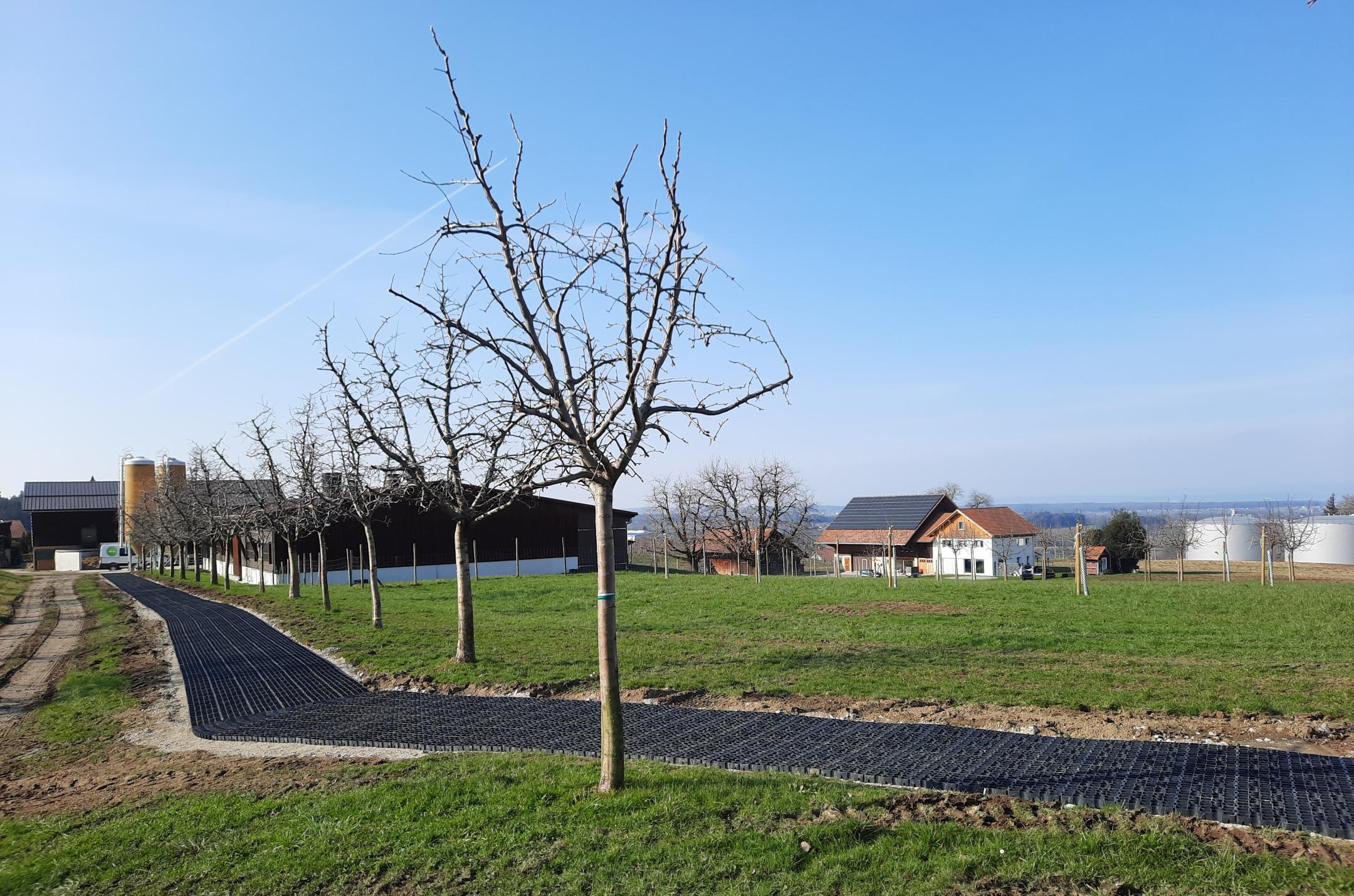 Mit ECORASTER viel benutzte Wege auf dem Hof stabilisieren | B+M Agrotech